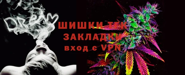 дживик Кинешма