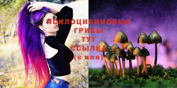 бошки Киреевск
