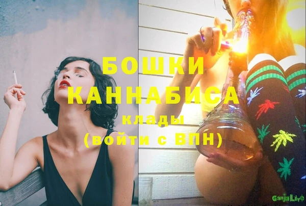дживик Кинешма