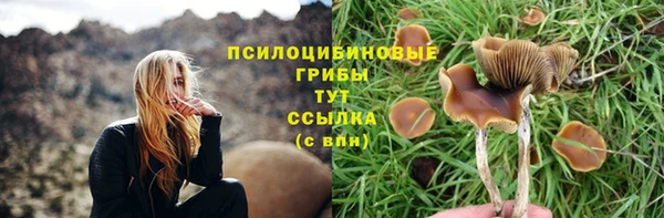 дмт Кодинск