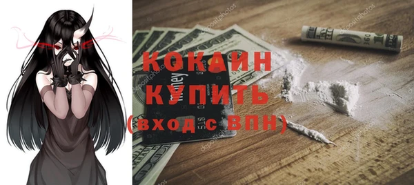 дживик Кинешма