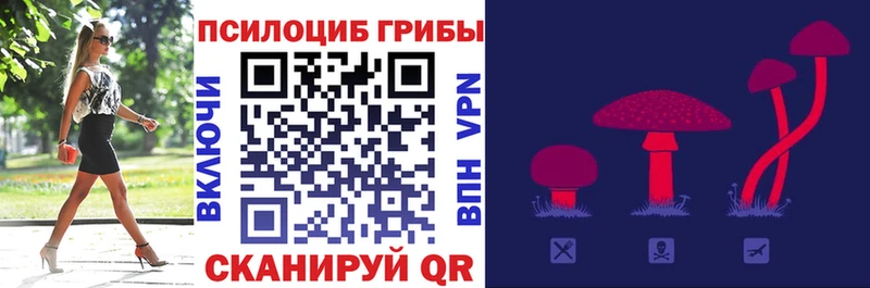 Галлюциногенные грибы Psilocybine cubensis  Купить закладки  Ангарск 
